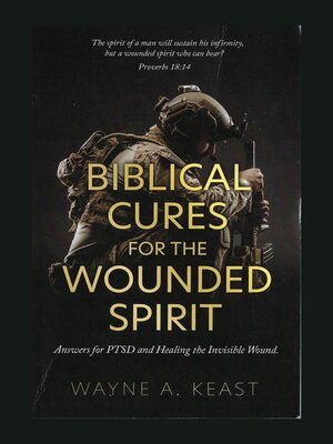cover image of Biblical Cures for the Wounded Spirit